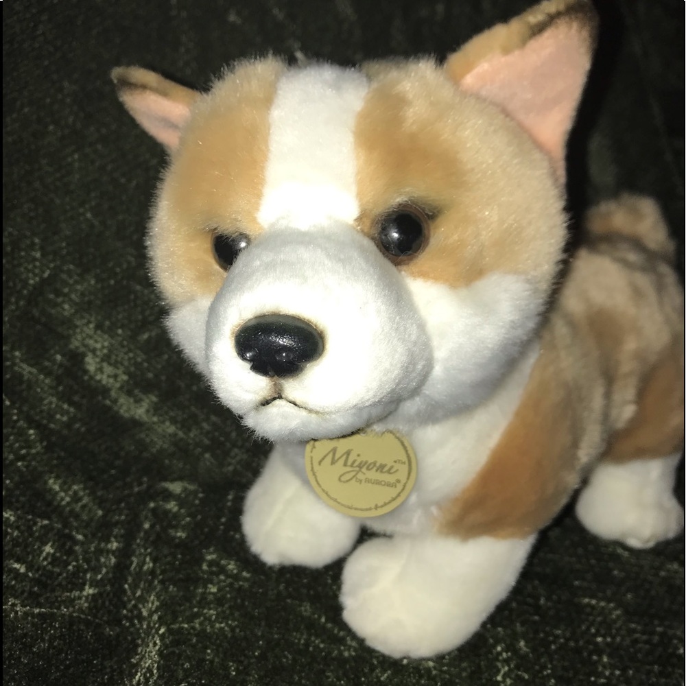 Corgi stuffed animal Myoni by Aurora